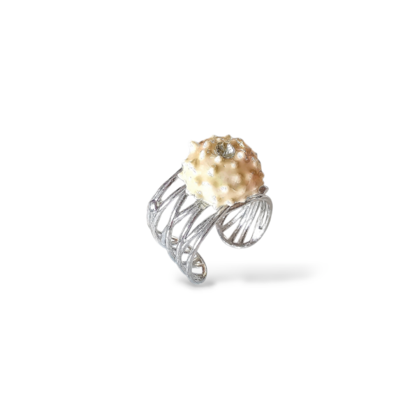 anello con riccio