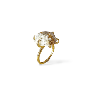anello ricco di mare