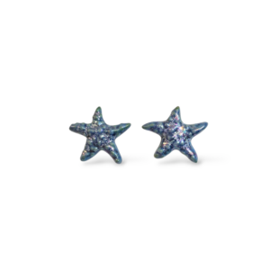 Orecchini Stella marina blu avion